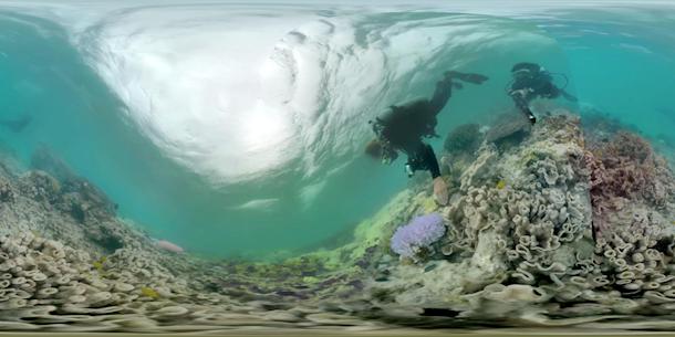VR, Coral Reefs, and Climate Change: Behind the Scenes of a Sundance Audience Favorite