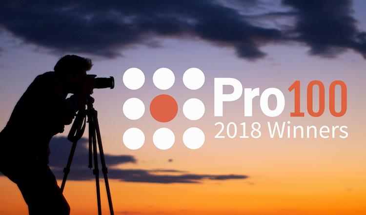 Presenting the Pro100 2018 Winners