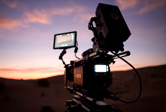 How to Make Sure You're Hiring the Right DP for Your Upcoming Project 