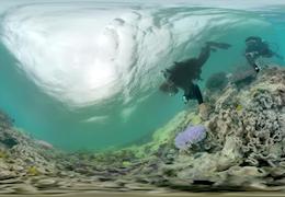 VR, Coral Reefs, and Climate Change: Behind the Scenes of a Sundance Audience Favorite