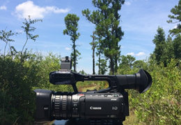 Review: CANON XF205