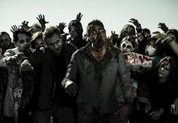Avoid the Zombie Crew: 7 Ways to Take Care of Your Crew On-Set 