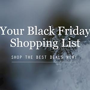2017 Black Friday Shopping List 