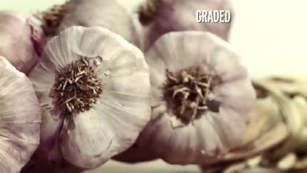 Anthony Harden's Color Reel