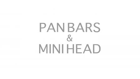 Scorpio Telescopic Camera Crane Rentals: PAN BARS & MINI HEAD