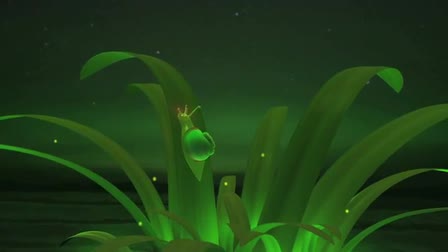 A Snail's Life
