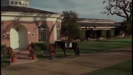 Cinematography Demo Reel 2011