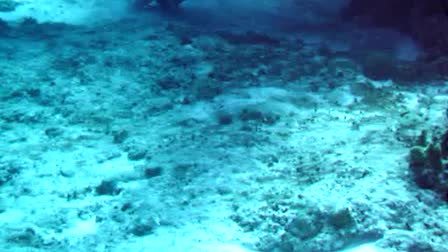 cave dive
