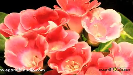 egamiFX Studio Stock Footage Reel