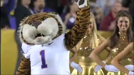 Tiger Band 2011 Intro