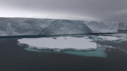 Tabular Icebergs