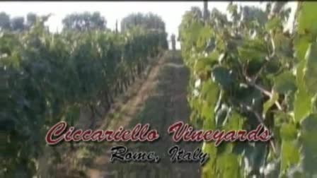 Casa Vinicola Ciccariello