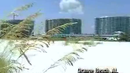 Jay Webb Voice Over