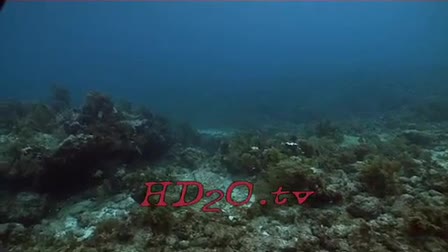 HD2O High Def Underwater