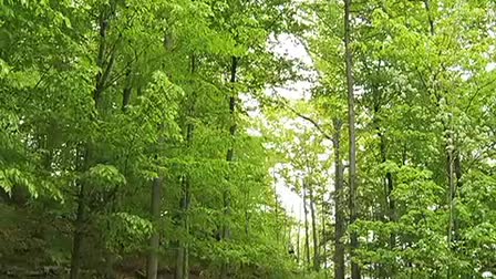 Joel Deaner Zipline Spot