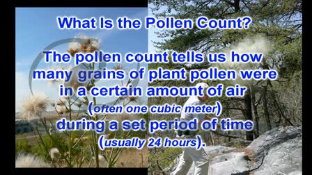 Pollen & Mold - Allergies Part 1