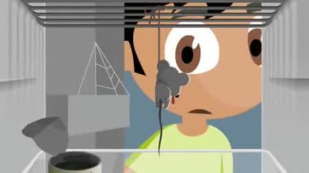 Gallery commercial flash cartoon production