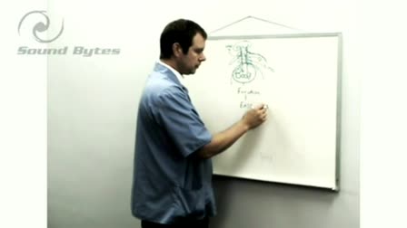 Chiropractic Care