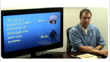 How The Body Works