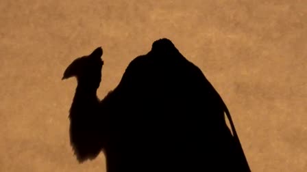 Music Video Balkan Beat Box - Otto Bulut