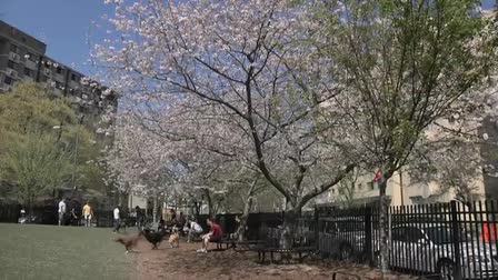 Washington DC Film Office Promo Video