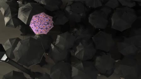 Vera Bradley