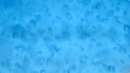 Chuck Caudill The Bleu Gel
