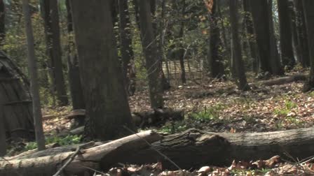 Explore Blandford Nature Center!