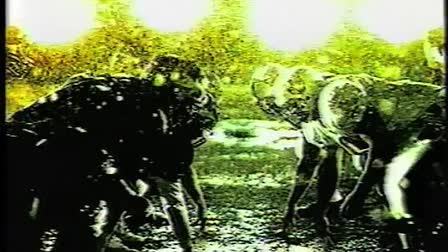 Cool Attitude Films Demo