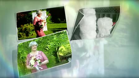 Diane & Danny's Wedding Highlights