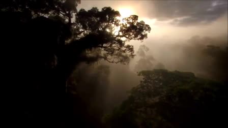 Sample Nature Video with Music by Stephen Maxwell