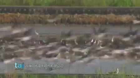 Company Promotion Video for Taiwan Aerial Imaging Inc.