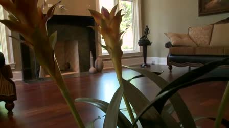 Realestate Property HD Video