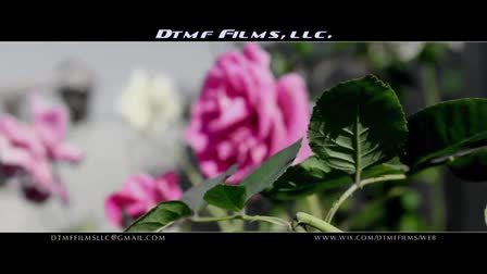 DTMF FIlms, LLC. Demo Reel