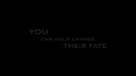 Commercial Demo Reel