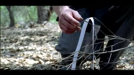 Anthony R. W. Lopez Reel