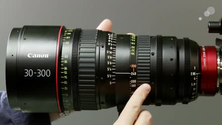 Evaluating the Canon 30-300 Cinema Zoom