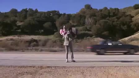 Hitchhiking Through the Ages