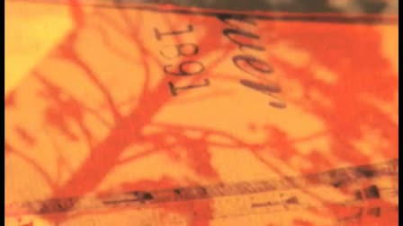 2010 Show Reel