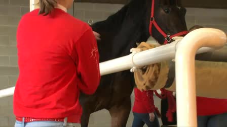 Rutgers University Equine Science Web Clip