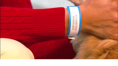 Wristband