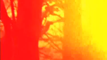 Our Broken Garden - When Your Blackening Shows