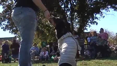 Halloween Dog Costume Contest News Story