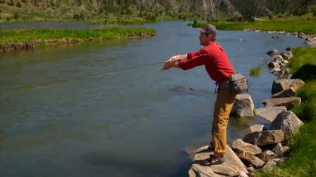 Innovate Montana