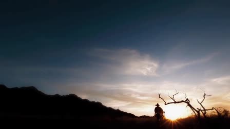LA Director of Photography