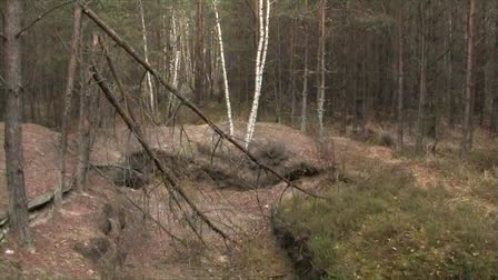 Safeguarding Memory: Commemorating Jewish Mass Graves in Poland