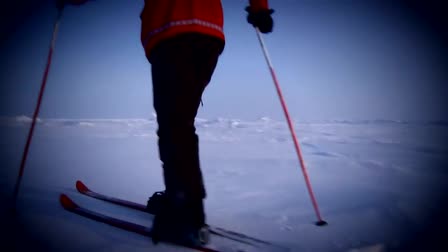 Climbing High