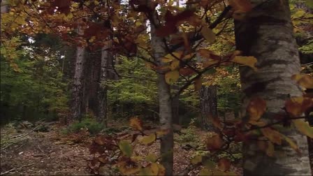 Documentary demo reel