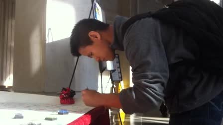 Immortal Art Project at Northwestern