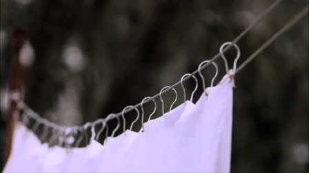 Dan Reed 2010 Reel